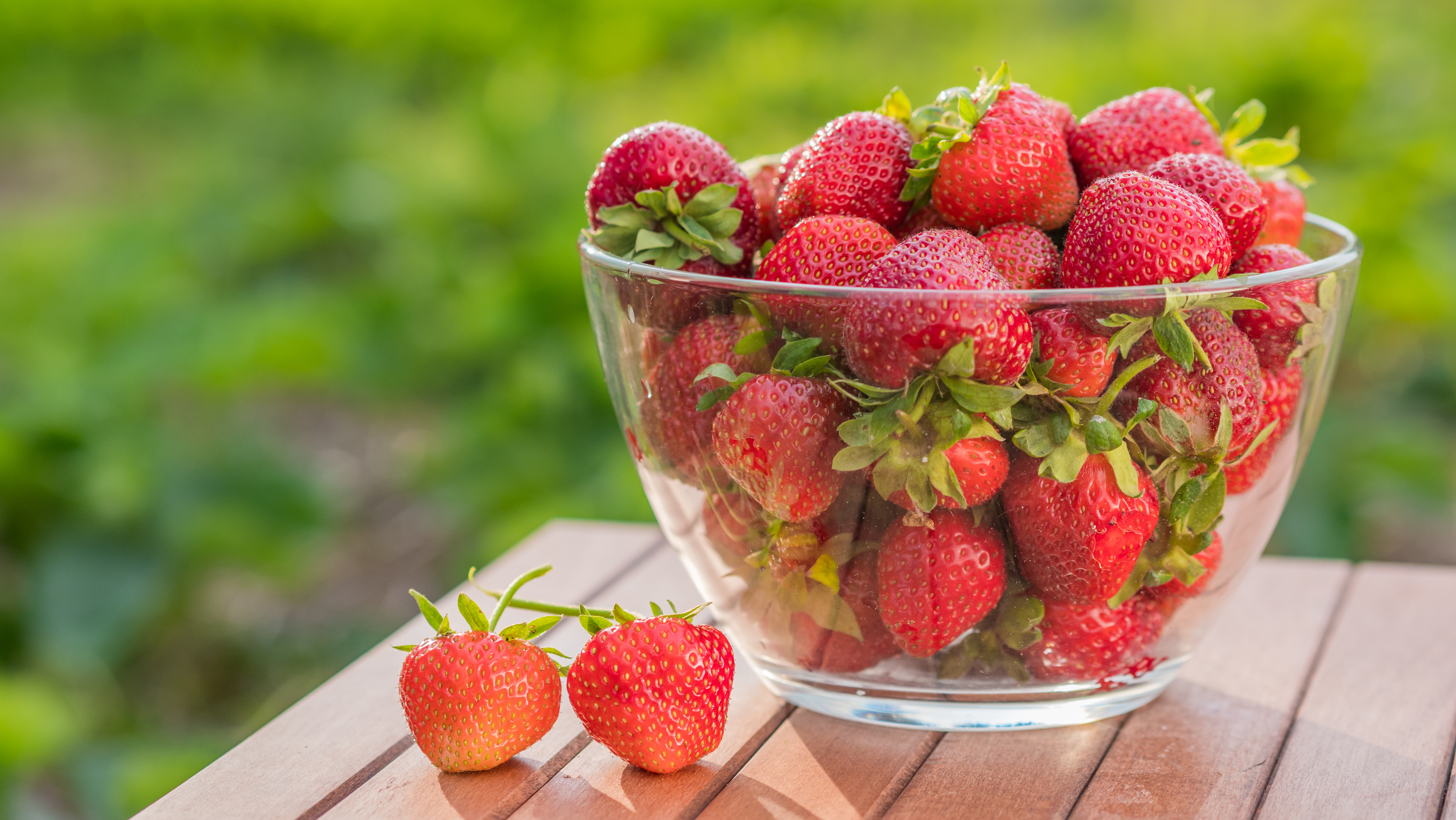Jordbær er sunn og god sommerkos. Velger du tilbehør som mager kesam, lettmelk 0.5 % eller mager vaniljesaus, blir innholdet av mettet fett lavere. Foto: AdobeStock. 