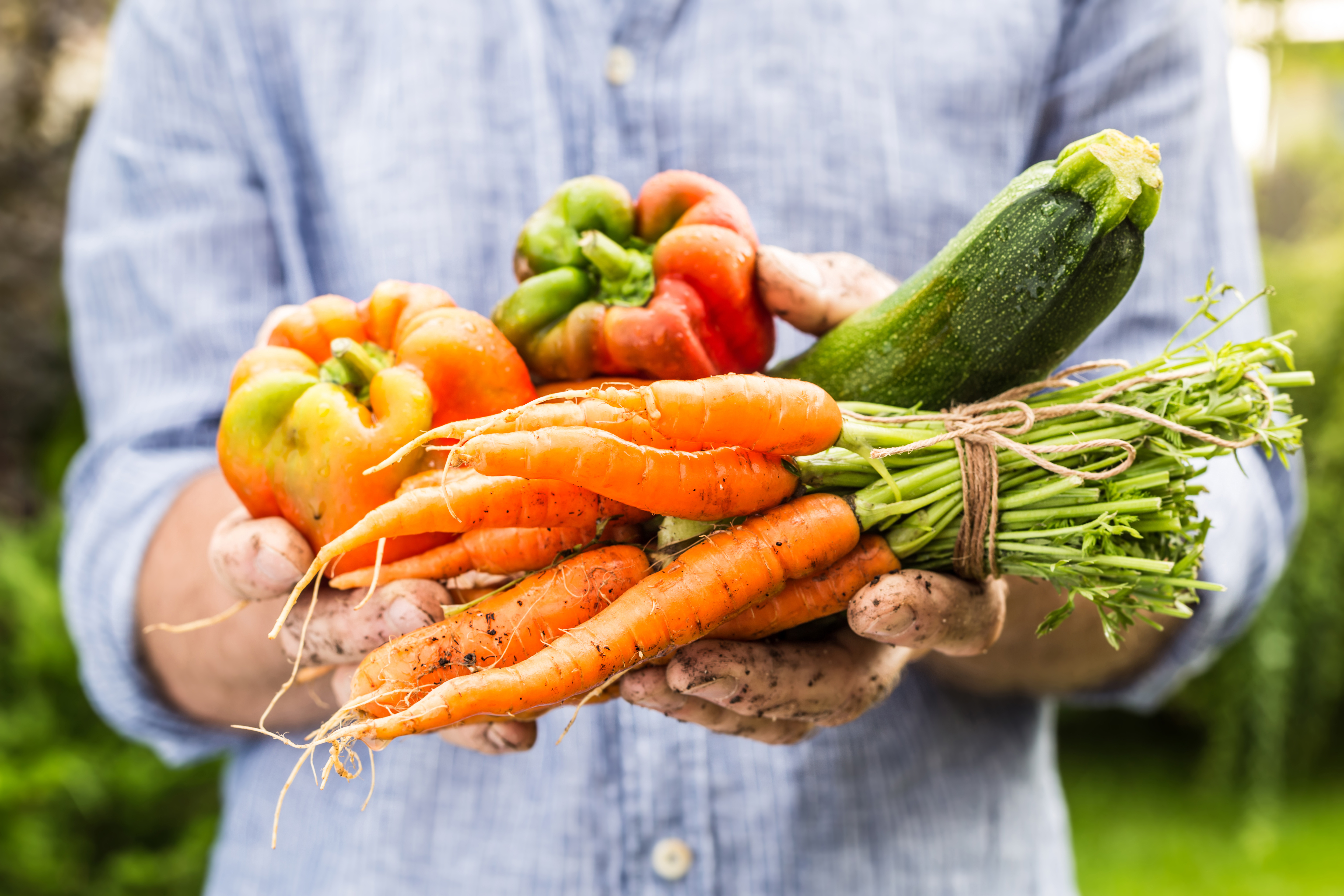 Grønnsaker, både friske, frosne og tørket, er ifølge NOVA-systemet definert som uprossesert og minimalt prosessert. Bilde: Adobestock.